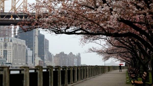 وول ستريت جورنال: السلطات الأمريكية تتبع أساليب استخباراتية في مكافحة كورونا