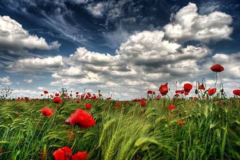 ارتفاع قليل على الحرارة اليوم وغدًا