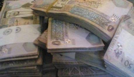 مؤسسات من القطاعين العام والخاص تتبرع لصندوق همة وطن ...اسماء