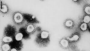 علماء: فيروس كورونا ربما انتشر بين البشر منذ سنوات قبل أن يتحول الى وحش