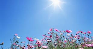 الحرارة ضمن معدلاتها السنوية وأجواء ربيعية لطيفة