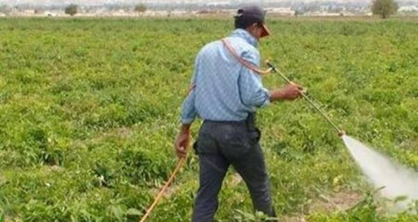 الإقراض الزراعي تؤجل قروض المزارعين لشهري نيسان وأيار