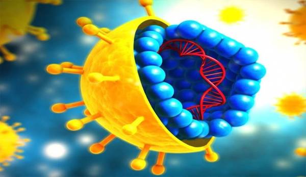 لأول مرة.. التقاط لحظة إصابة فيروس كورونا لخلية سليمة (صور)