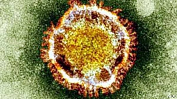 علماء يكتشفون 6 فيروسات كورونا جديدة