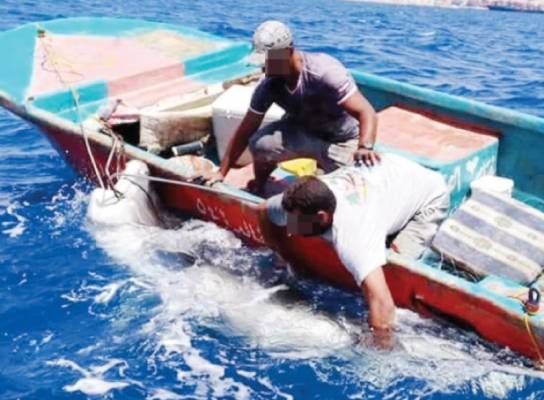 منح تصاريح لـ(120) صياداً في العقبة