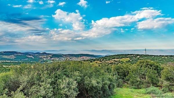 أجواء دافئة نسبيا ومغبرة بوجه عام