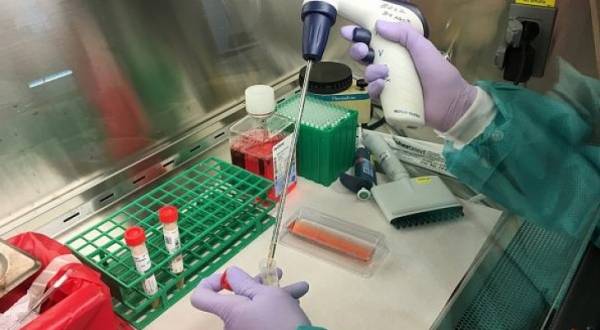 لا إصابات بكورونا في اربد لليوم العاشر على التوالي