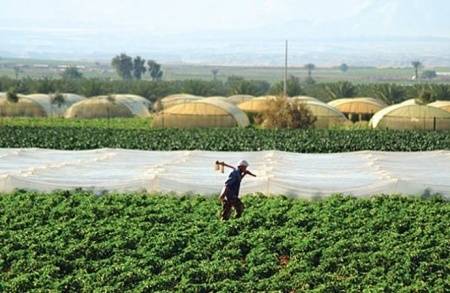 مزارعون يتحدثون ابرز التحديات التي تواجه قطاع الزراعة في الوقت الراهن