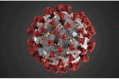 الكشف عن نقطة ضعف فيروس كورونا