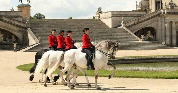 حتى الخيول دخلت في الحجر الصحي... أضخم وأجمل إسطبلات أوروبا في شانتيي الفرنسية فرض العزلة على خيوله