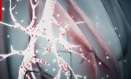 يكتشف العلماء المزيد كل يوم عن فيروس كورونا وأعراضه. إليك 10 علامات تدل على الإصابة به، وما يجب فعله لتحمي نفسك وعائلتك