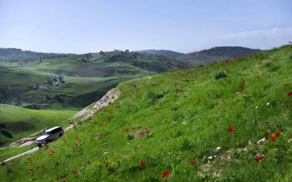 أجواء ربيعية معتدلة الحرارة في معظم المناطق الثلاثاء