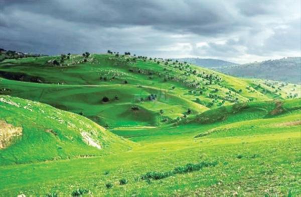 طقس ربيعي غداً ،، وانخفاض درجات الحرارة ليلاً