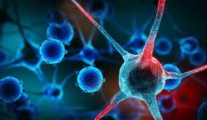 بعد فهم التكتيك المخادع.. العلماء يقلبون الطاولة على السرطان