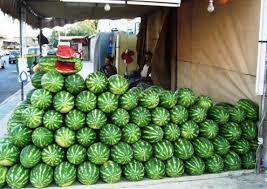 البطيخ في عمان الكترونياً ..!!