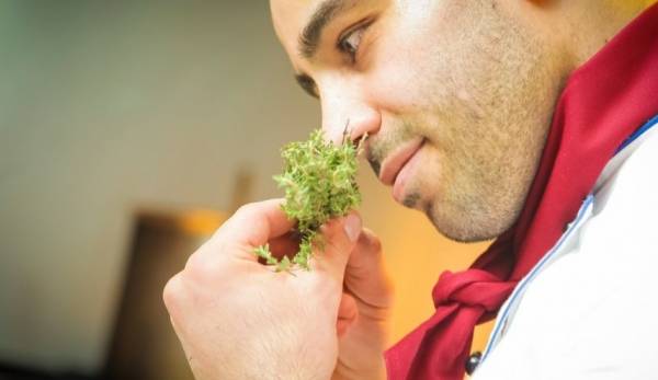 لماذا يفقد المصاب بفيروس كورونا حاسة الشم؟