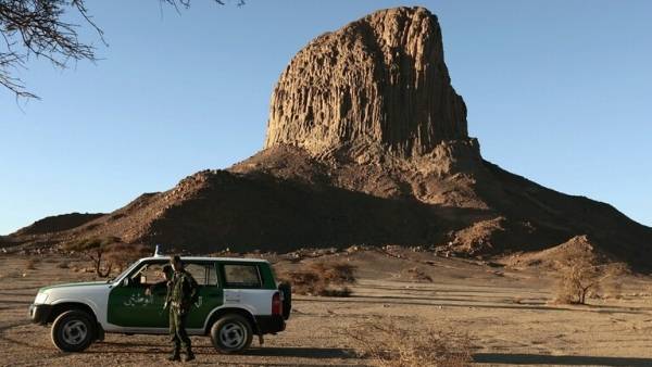 رصد الفهد الصحراوي بالجزائر لأول مرة منذ نحو 15 عاما (صورة)