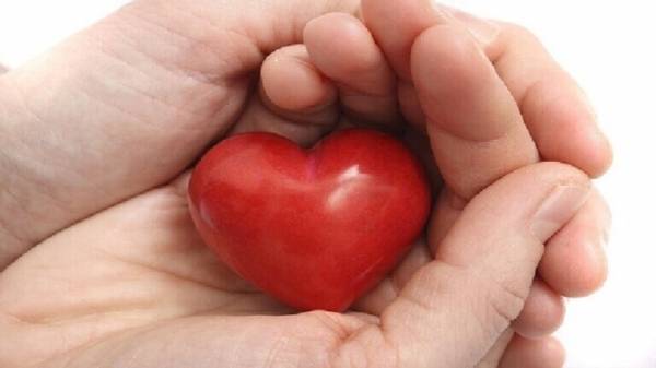 أفضل المواد الغذائية لصحة القلب