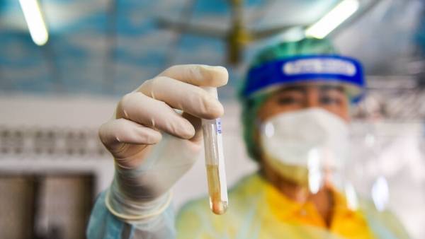 تايلاند تختبر لقاحا مضادا لكورونا على القردة