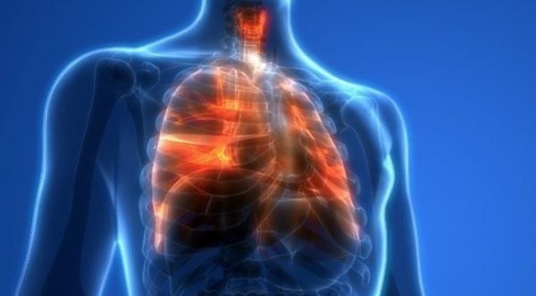 دراسة تكشف “علاقة صادمة” بين التدخين وكورونا