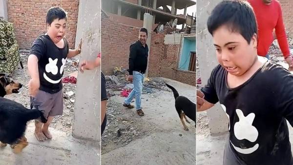 حادثة ترويع طفل من ذوي الاحتياجات الخاصة بكلب يثير غضبا في مصر