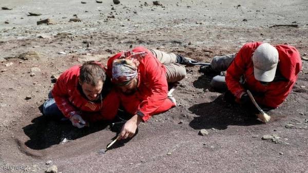 العثور على أسنان حيوان عاش قبل 74 مليون عام