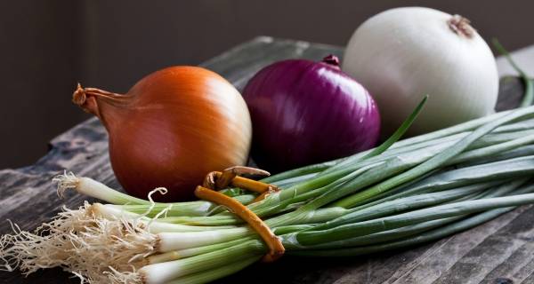 ماذا يحدث لمريض كورونا إذا استنشق البصل ؟