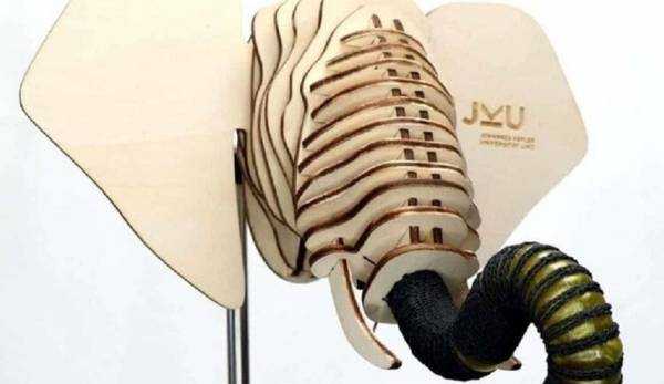 ابتكار روبوت على شكل خرطوم فيل صالح للأكل