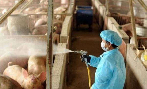 ظهور فيروس جديد في الصين.. وتحذير من تحوله لجائحة