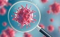 مفاجأة عن أصل كورونا .. من منجم إلى مختبر ووهان