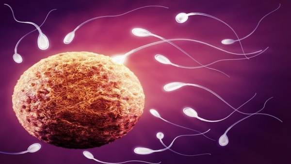 قطع خطوة مهمة في علاج عقم الرجال