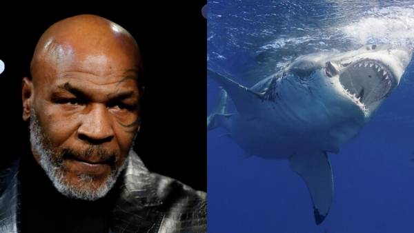 تايسون يواجه القرش الأبيض في تحد غريب