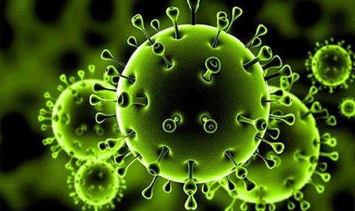 فيديو مثير يكشف كيف انتقل العالم من صفر إلى (10) ملايين إصابة بكوفيد19 في (6) أشهر فقط