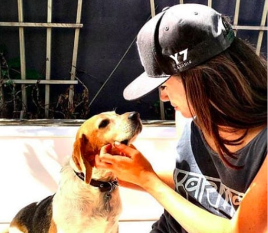 ميغان تتخلى عن كلبها بسبب الأمير هاري