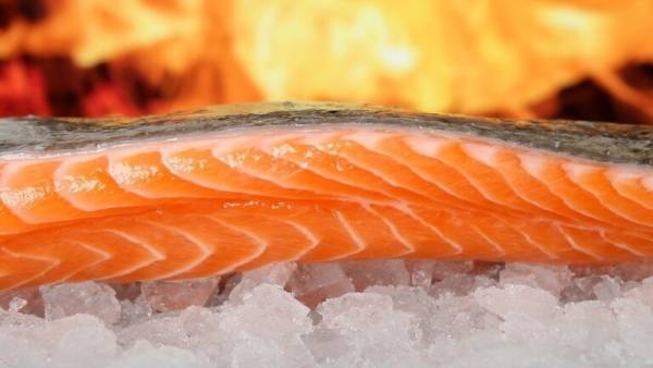 تناول الأسماك الزيتية قد يحمي الدماغ من الأضرار السامة لتلوث الهواء