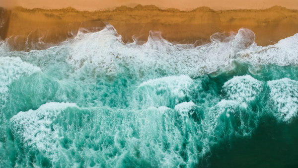 استكشاف حفرة الموز الأخضر الغامضة قبالة ساحل فلوريدا!