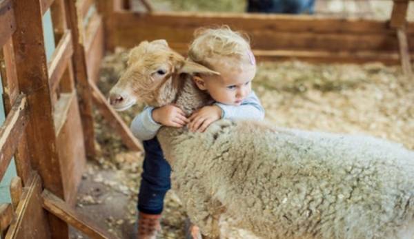 كيف تؤثّر الحيوانات المنزلية على الأطفال