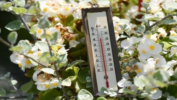 ما الذي يهدد أوروبا إلى جانب كوفيد19؟