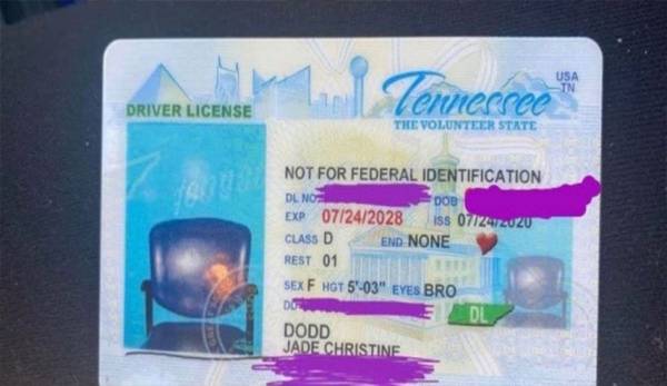 أغرب رخصة قيادة.. كرسي فارغ بدل صورة صاحبتها!