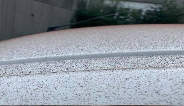 نزول مطر الشوكولاتة في بلدة سوييسرية!