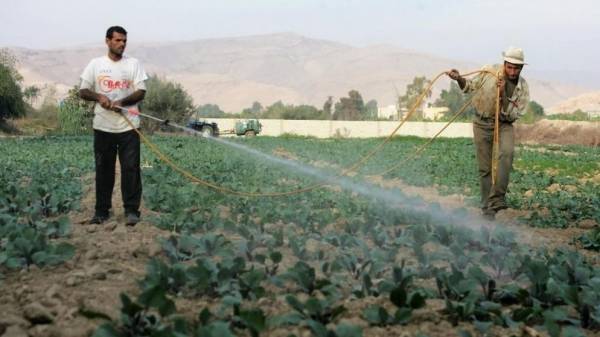 مزارعو وادي الأردن يثمنون جهود علي صبح في انقاذ الموسم الزراعي