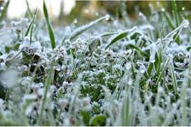 الأردن على موعد تسجيل حرارة الصفر المئوي