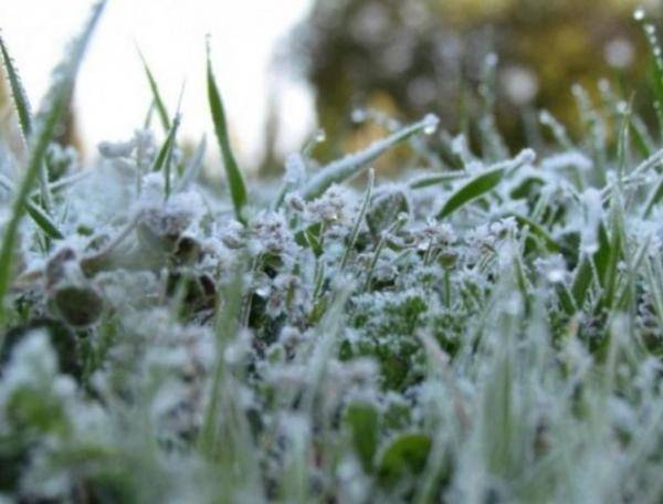 الأرصاد تحذر من الصقيع والغبار