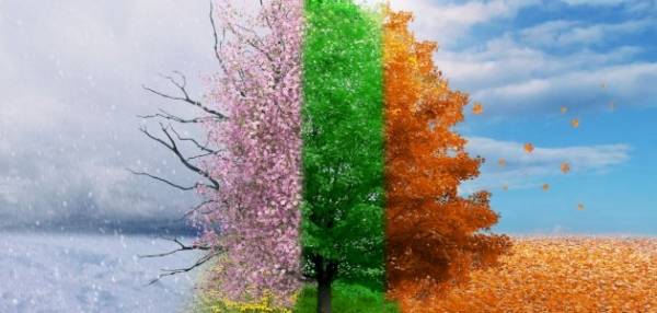 الأردن على موعد مع الفصول الأربعة خلال يومين .. فما السبب ؟