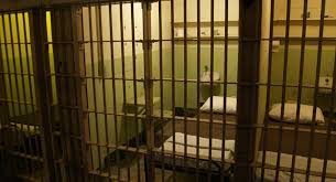 تكلفة السجين الشهرية 800 دينار