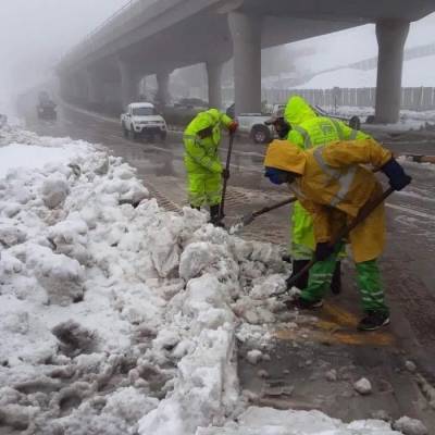 عمال الوطن في امانة عمان يناشدون جلالة الملك