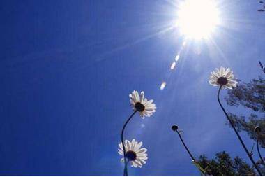 أجواء مشمسة وباردة نسبياً بالمرتفعات والسهول ودافئة في باقي المناطق