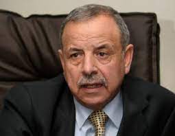 كريشان: لا قرار بحل المجالس البلدية ومجالس المحافظات