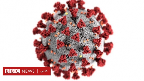فيروس كورونا: الهند تكتشف سلالة جديدة تجمع بين طفرتين في نفس الفيروس