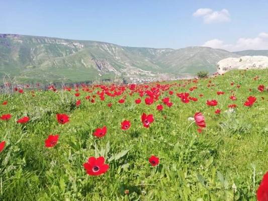 أجواء ربيعية معتدلة في أغلب المناطق اليوم وحارة غدًا